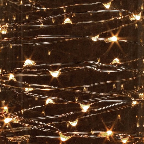 10 ft. LED String Light with Timer - Warm White : Target
