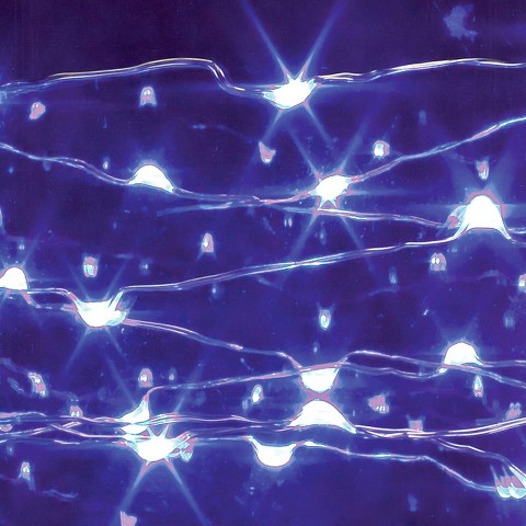 10 ft. LED String Light with Timer - Blue : Target