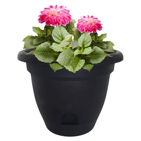 Lucca Planter