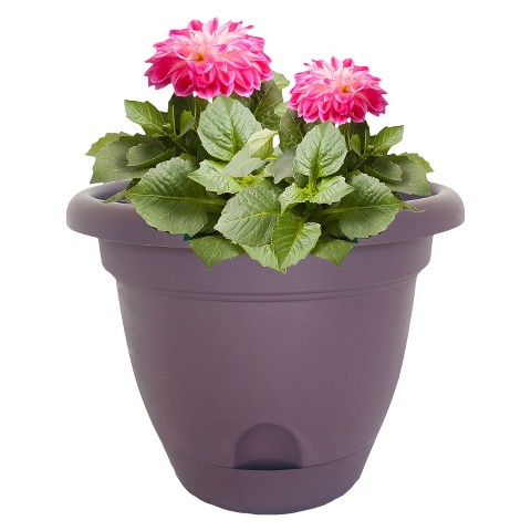Lucca Planter