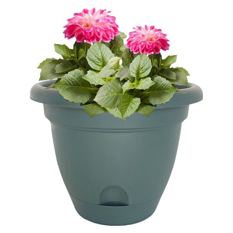 Lucca Planter