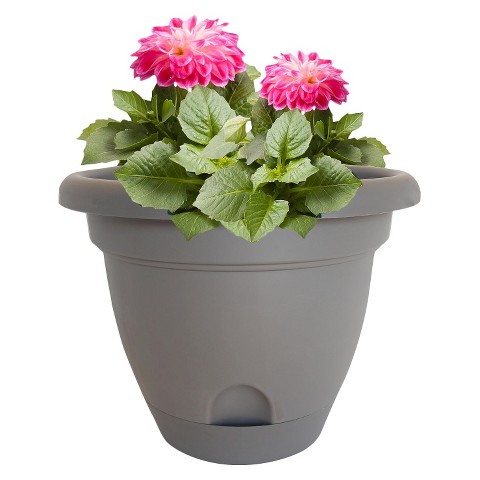 Lucca Planter