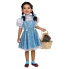 Toddler Dorothy Costume - (2-4T)