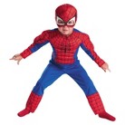 Toddler Spider-Man Costume 3T-4T