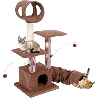 What Cats Really Want…