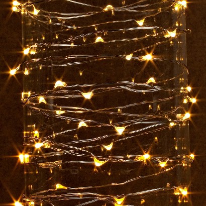The Gerson Company Outdoor Warm LED Light String... : Target