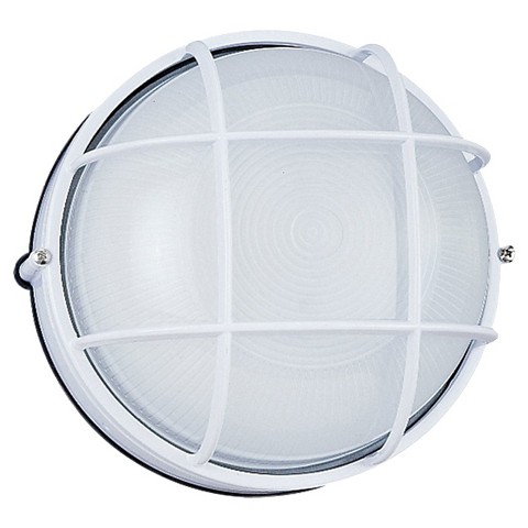 Aurora Outdoor Wall-Ceiling Mount Light : Target