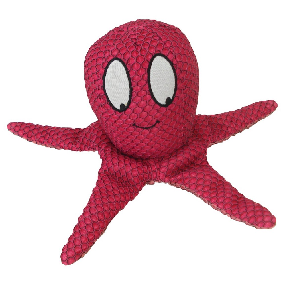 UPC 667902448042 Boots & Barkley Mesh Octopus Dog Toy