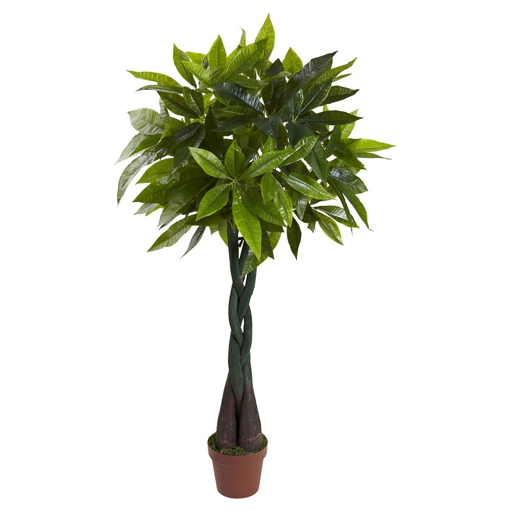 UPC 840703100139 product image for Money Plant (Real Touch) - Green (4