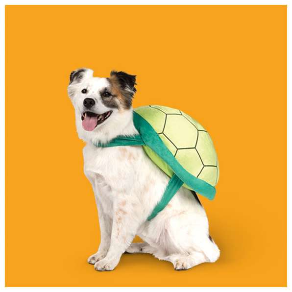 Halloween Costumes 2016 Target