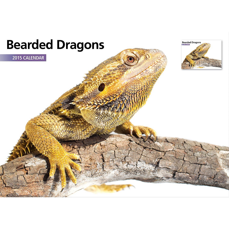 Magnet™ & Steel Bearded Dragons 2015 Wall Calendar