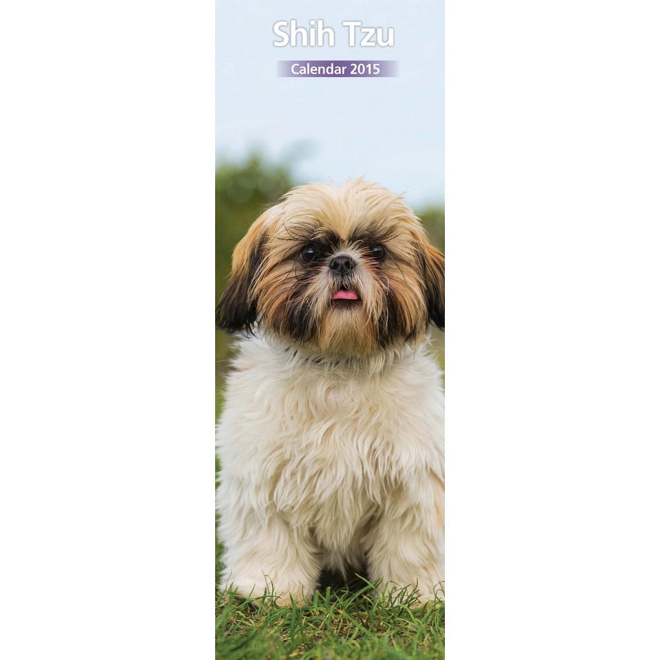 Magnet™ & Steel Shih Tzu Dog 2015 Slim Calendar