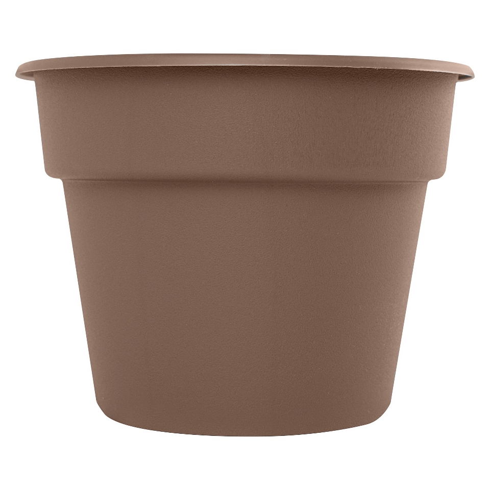 Bloems 4 Dura Cotta Planter   Curated