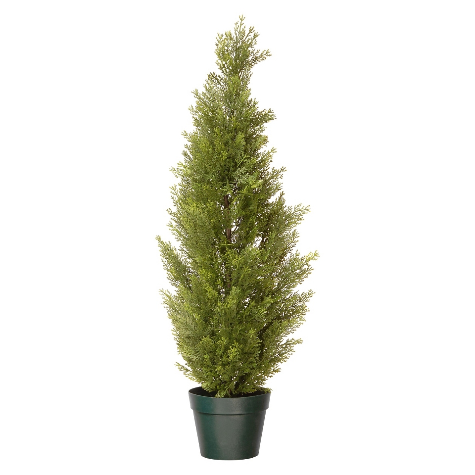 Arborvitae with Pot   Green (36)