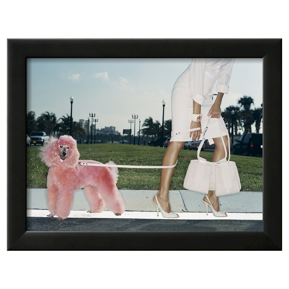 Art Pink Poodle by Arthur Belebeau   Framed Photographic Print