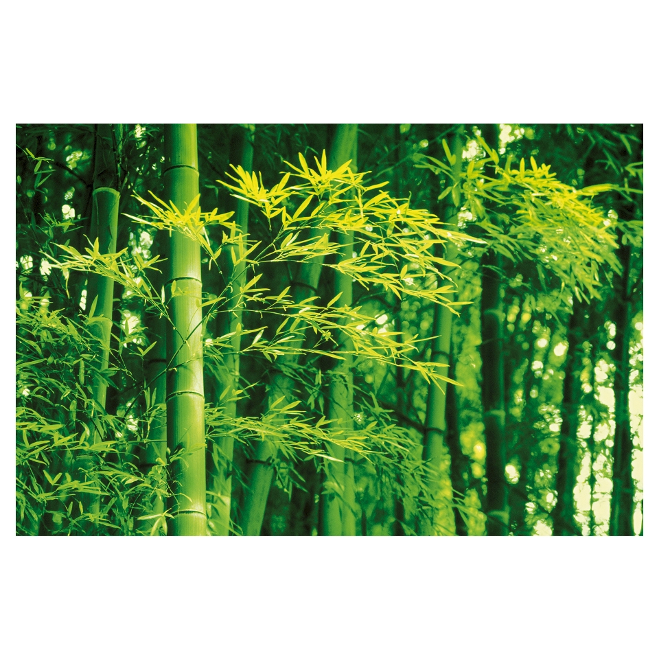 Art Wallpaper Mural   Dave Brullmann Bamboo in Spring