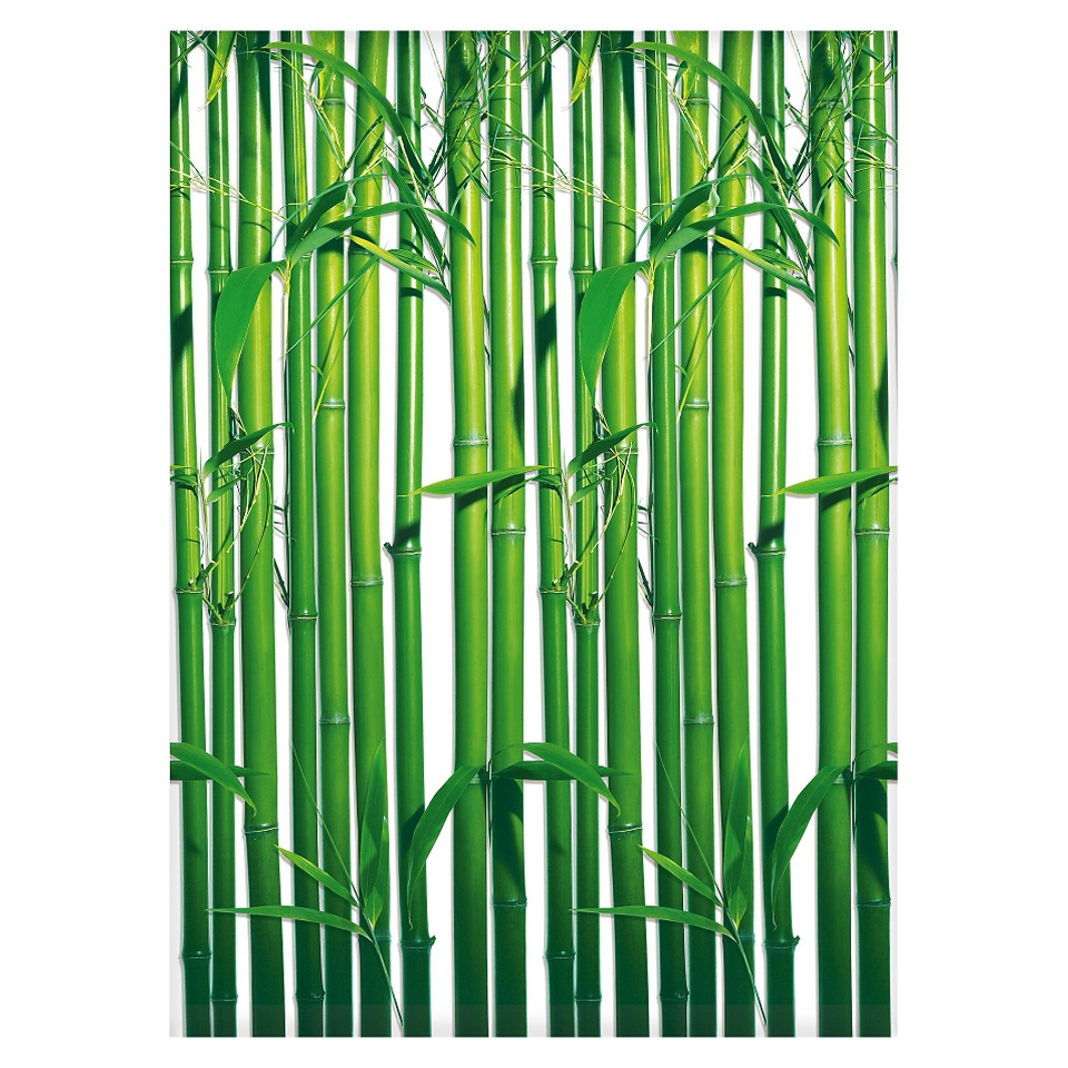 Art Wallpaper Mural   Dave Brullmann Bamboo