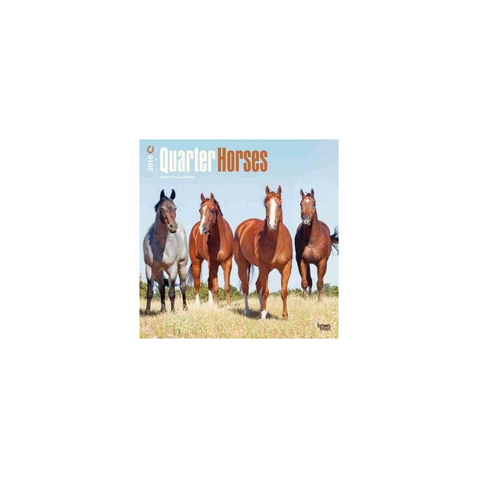 Quarter Horses 2016 Calendar